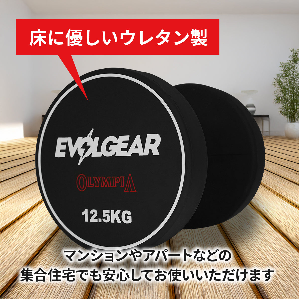 EVOLGEAR ウレタンダンベル EVA-D103