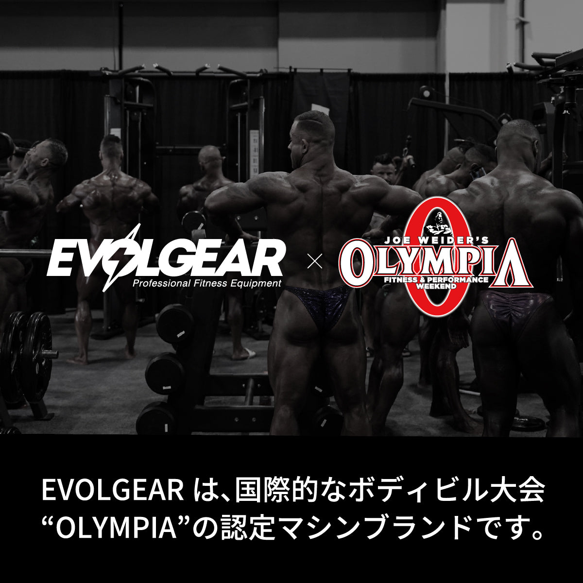 EVOLGEAR アジャスタブルインクラインベンチ