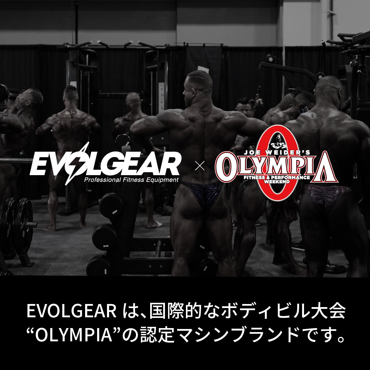 EVOLGEAR ウレタンウェイトプレート EVA-W101