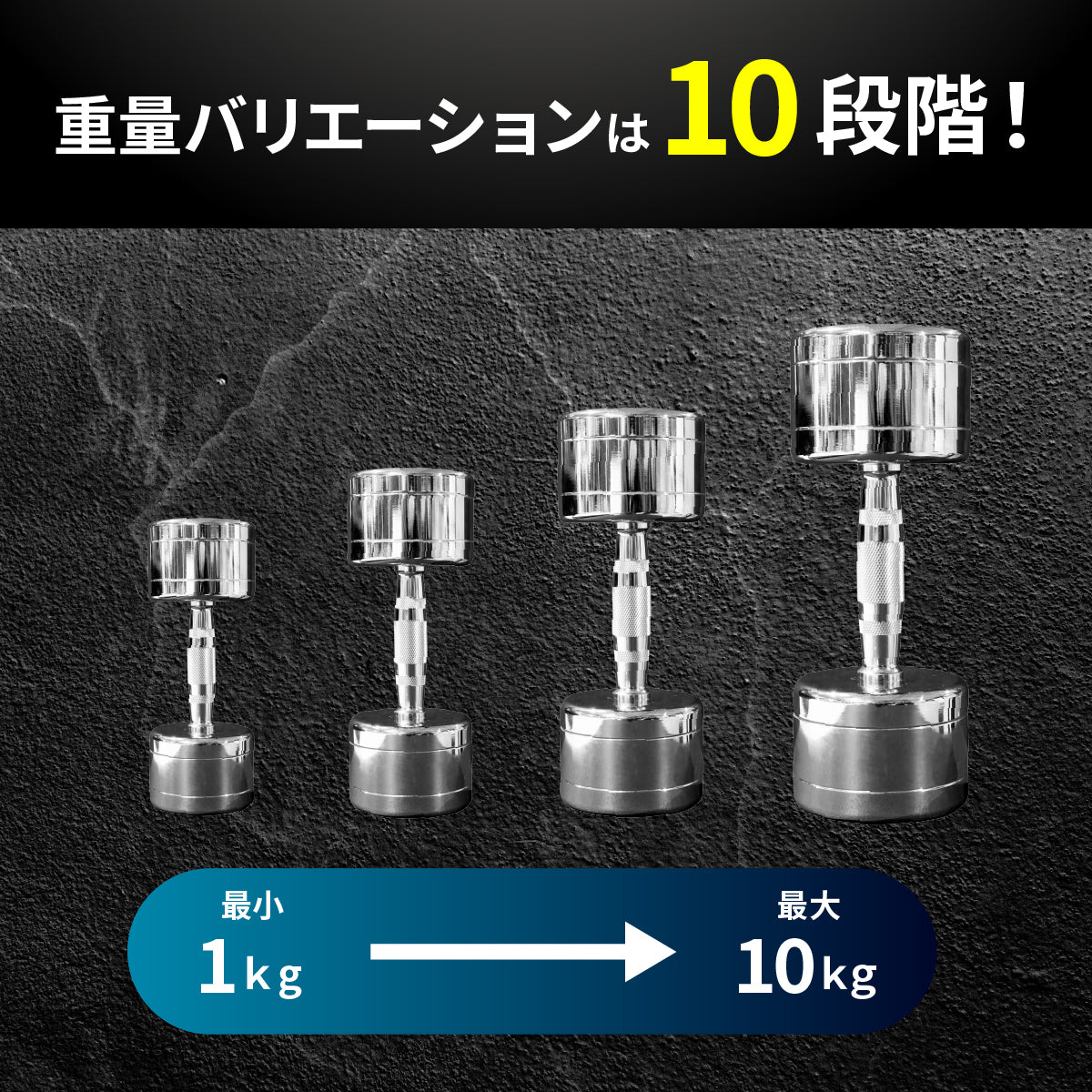 EVOLGEAR クロームダンベル EVA-D102
