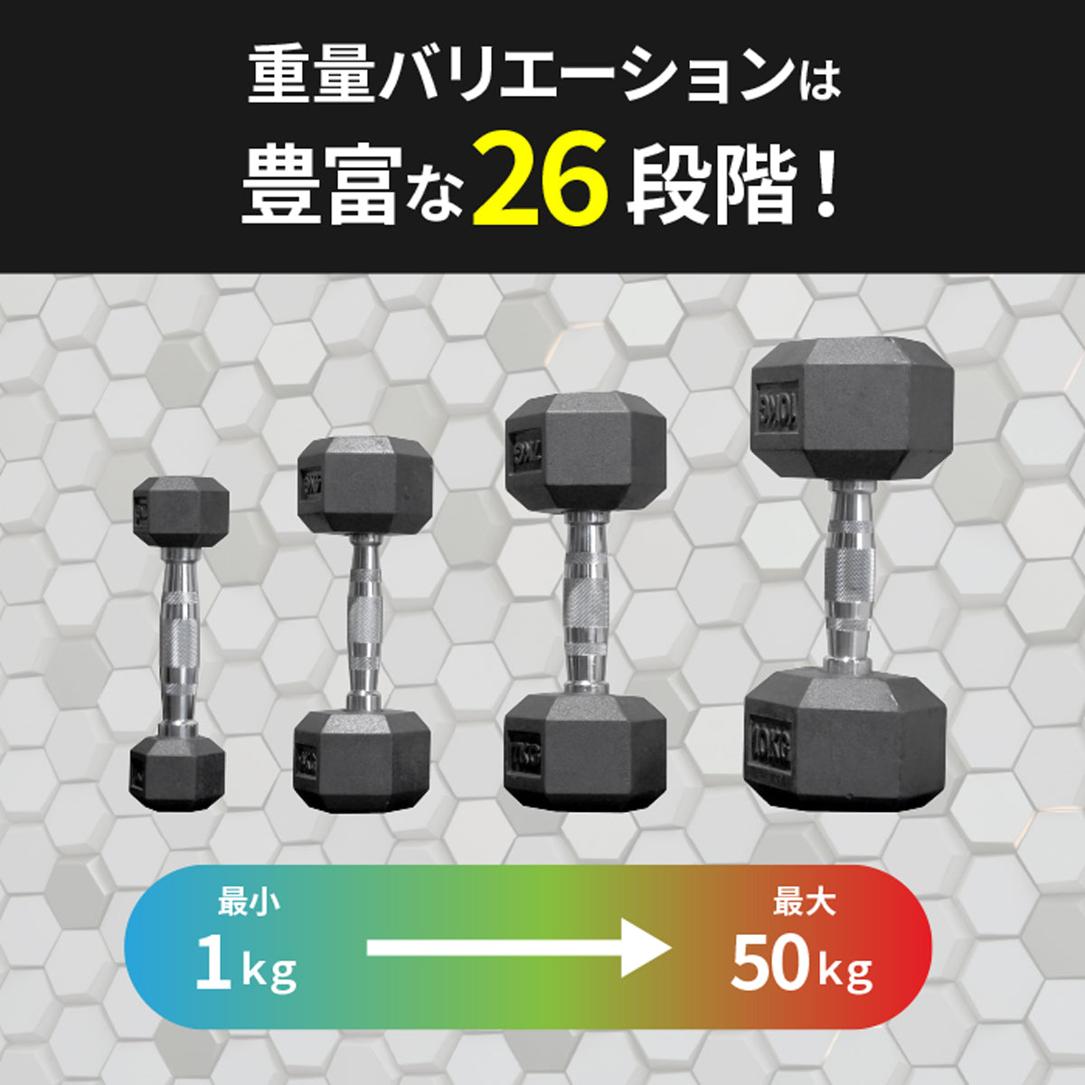 EVOLGEAR ラバーヘックスダンベル