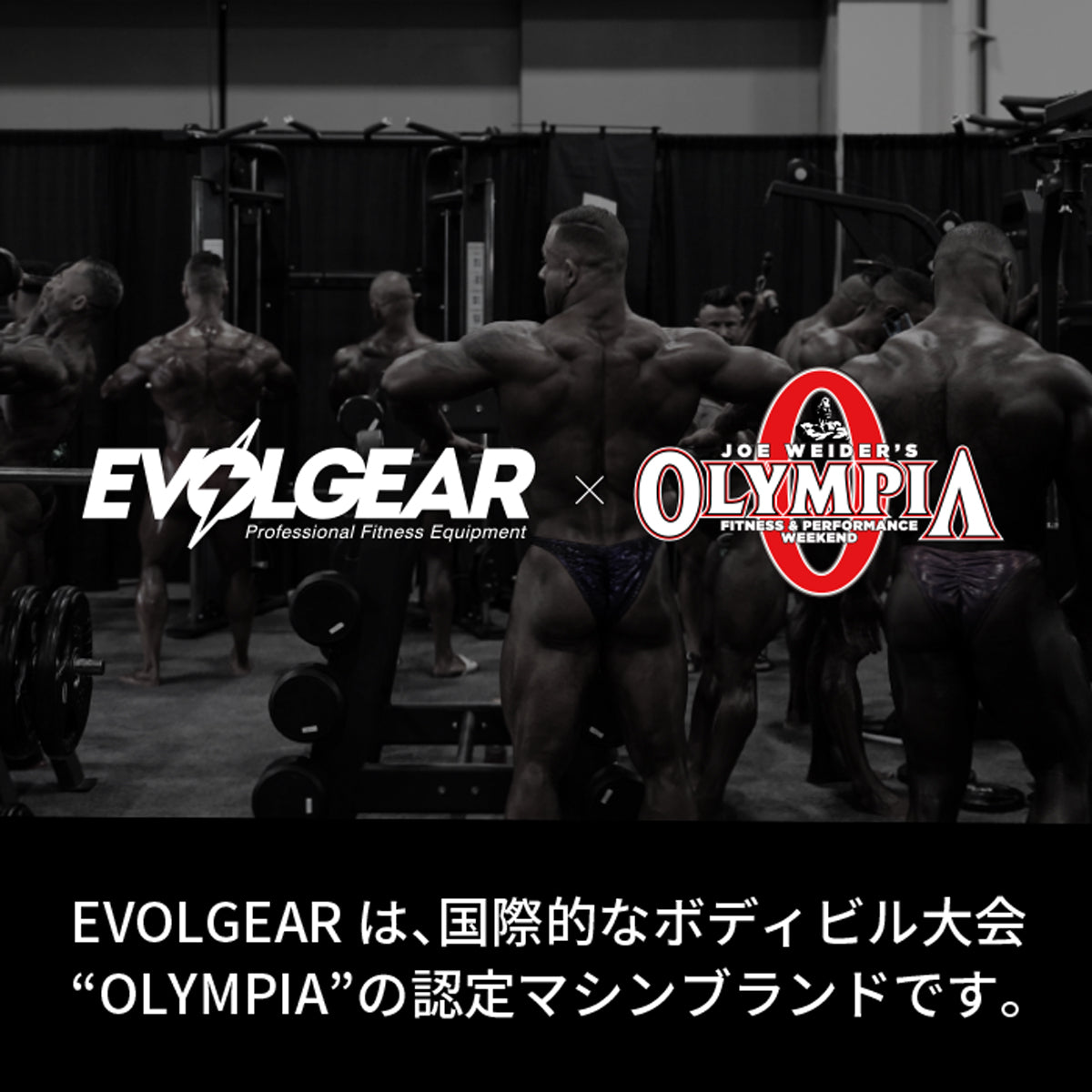 EVOLGEAR OLYMPIA