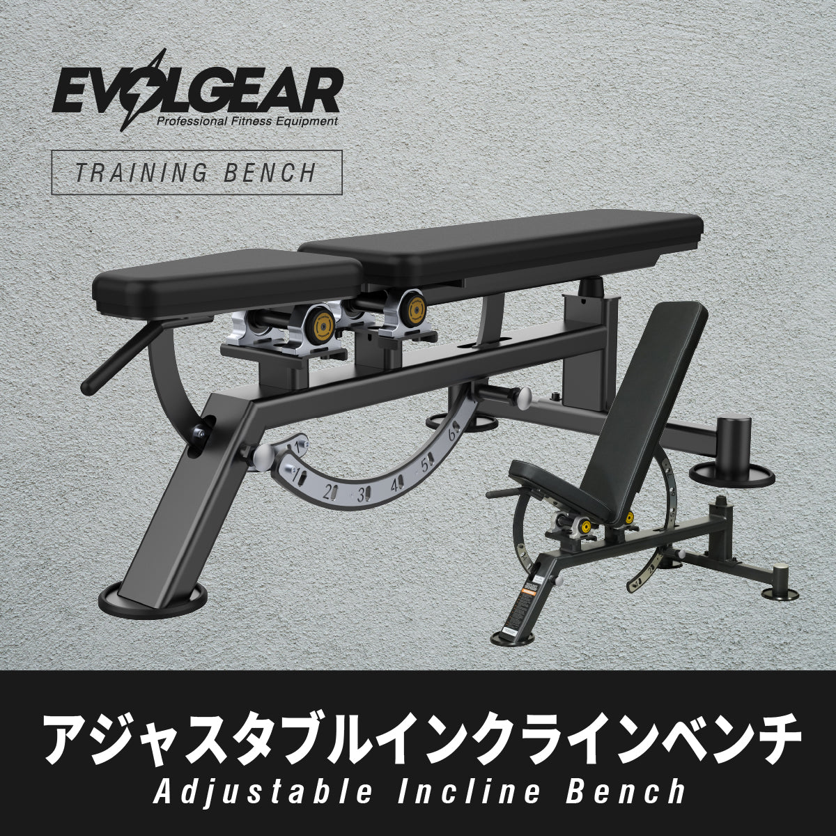 EVOLGEAR アジャスタブルインクラインベンチ